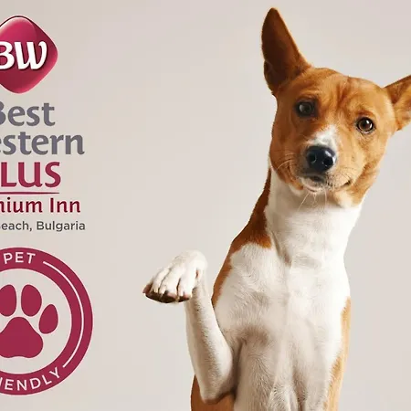 Hotel Premium 4*